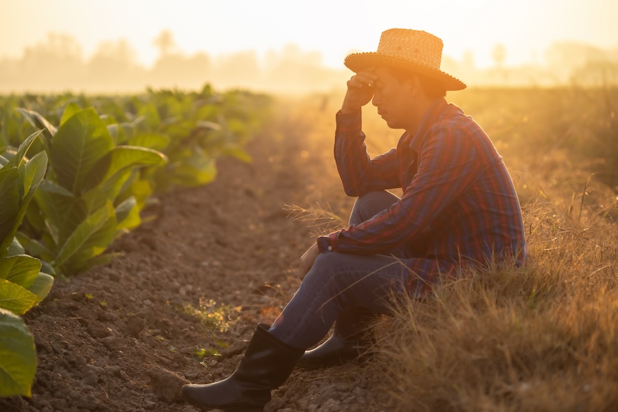 Heat Illness Prevention