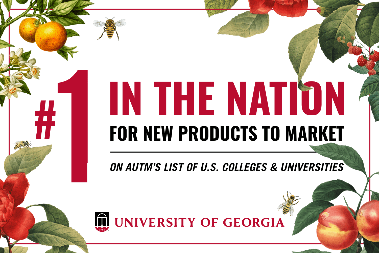 UGA is No. 1 for new products to market