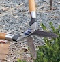 High quality pruning shears are an excellent gift for the gardener on your holiday list.