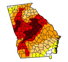 While cities and urban water supplies have not been as impacted by Georgia's current drought, middle Georgia farmers have seen more severe impacts than during Georgia's historic 2007-2009.