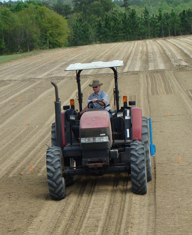 A farmer drives a tractor to prepare a field for planting peanuts.
