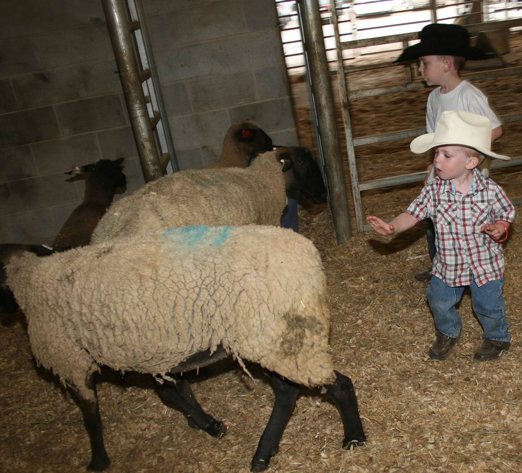 The Great Southland Stampede Rodeo runs April 18-20 in Athens. The 2013 rodeo features a whole host of new children's activities.