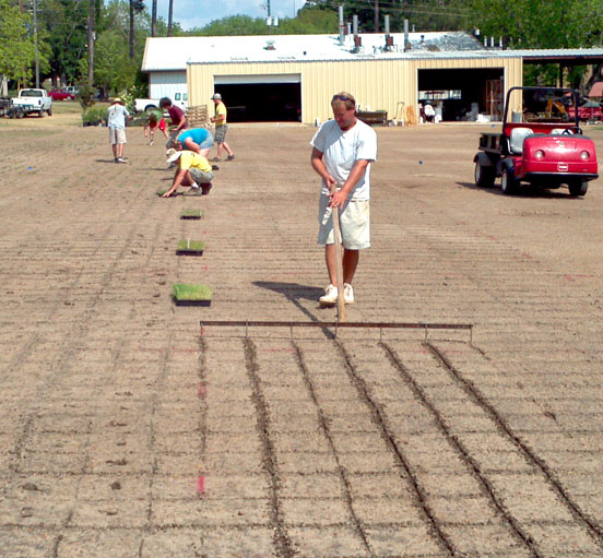Members of Brian Schwartz's turfgrass team plant a bermudagrass variety trial by hand in 2012.