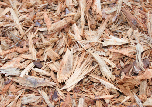 Freshly ground woodchips