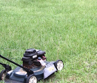 A push mower used to mow turfgrass.
