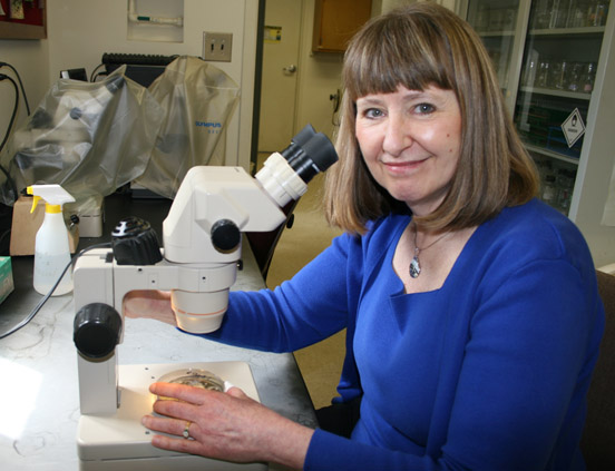 Katherine Stevenson, a plant pathologist, has been part of the University of Georgia since 1992.