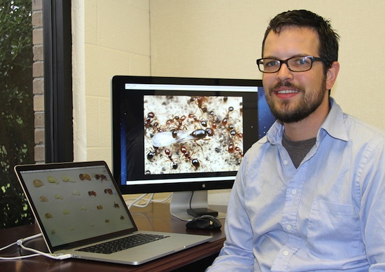 Entomologist Brendan Hunt has joined the faculty of the University of Georgia College of Agricultural and Environmental Sciences. He is based on the Griffin campus and his research focus is fire ant genetics.