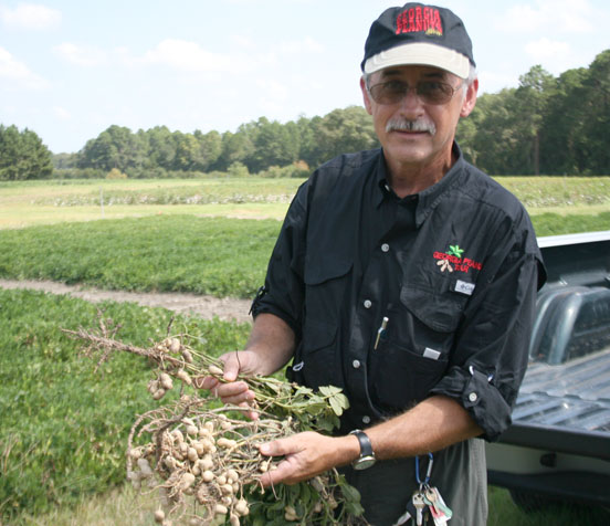 Tim Brenneman, a University of Georgia plant pathologist, shows nematode damage on peanuts during the Georgia Peanut Tour in September.