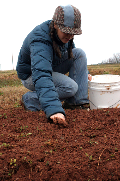 A UGA horticulture graduate student plants onions at Jim's Farm in Winterville, Ga.