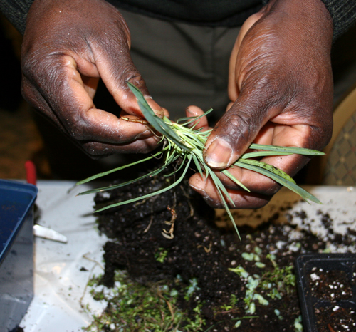 Gardeners learn how to propagate plants at a Georgia Green Industry Association meeting in 2006.