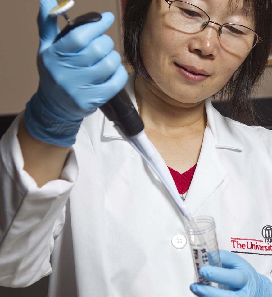 Hongxiang Liu, an assistant professor of animal and dairy science at UGA, also works as part of the the UGA Regenerative Medicine program and UGA Obesity Initiative. Her work focuses on the discovering the connections between taste bud physiology and obesity.