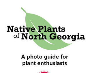 Spring is around the corner, and University of Georgia Extension has a new app to help families and outdoor enthusiasts make the most of those first springtime hikes.
“Native Plants of North Georgia,” now available for iPad, iPhone and Android devices, is a consumer-oriented field guide of the flowers, trees, ferns and shrubs that populate North Georgia's yards and forests.