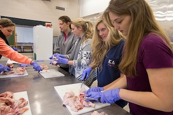 University of Georgia students in the most recent "Chicken Que: Science Behind the Grill" class learn how to correctly cut fresh chicken.