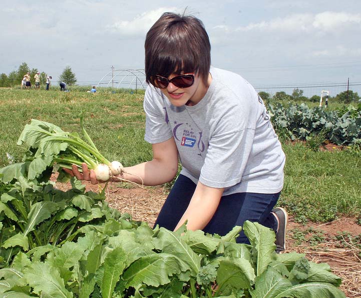 Sarah Nutt, a student in the UGA Certificate Program in Organic Agriculture, harvests an end-of-the-semester turnip from her classes field on South Milledge Avenue.