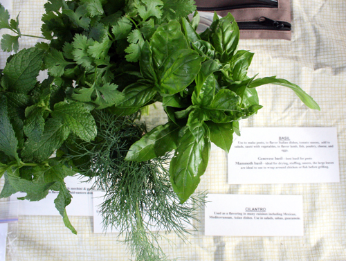 An herb vendor at the Riverside Farmers Market in Roswell, Ga., displays her selection - and includes information on how to use the herbs she sells. Aug. 1, 2009.
