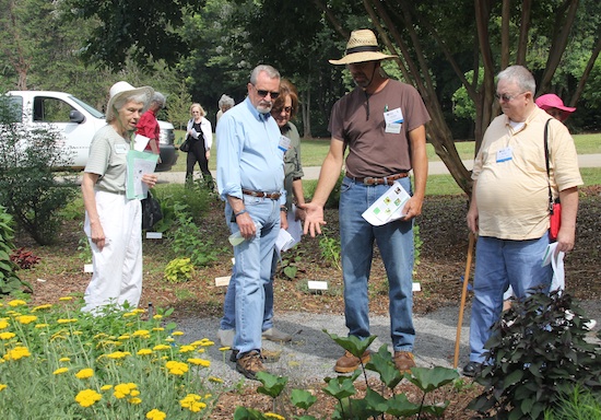 Georgia's Master Gardener Extension Volunteers were invited to the University of Georgia's campus in Griffin on June 5 for a 35th Anniversary celebration. In true form, the volunteers spent the day learning from UGA experts so they can continue to help educate the public on the latest research-based information.