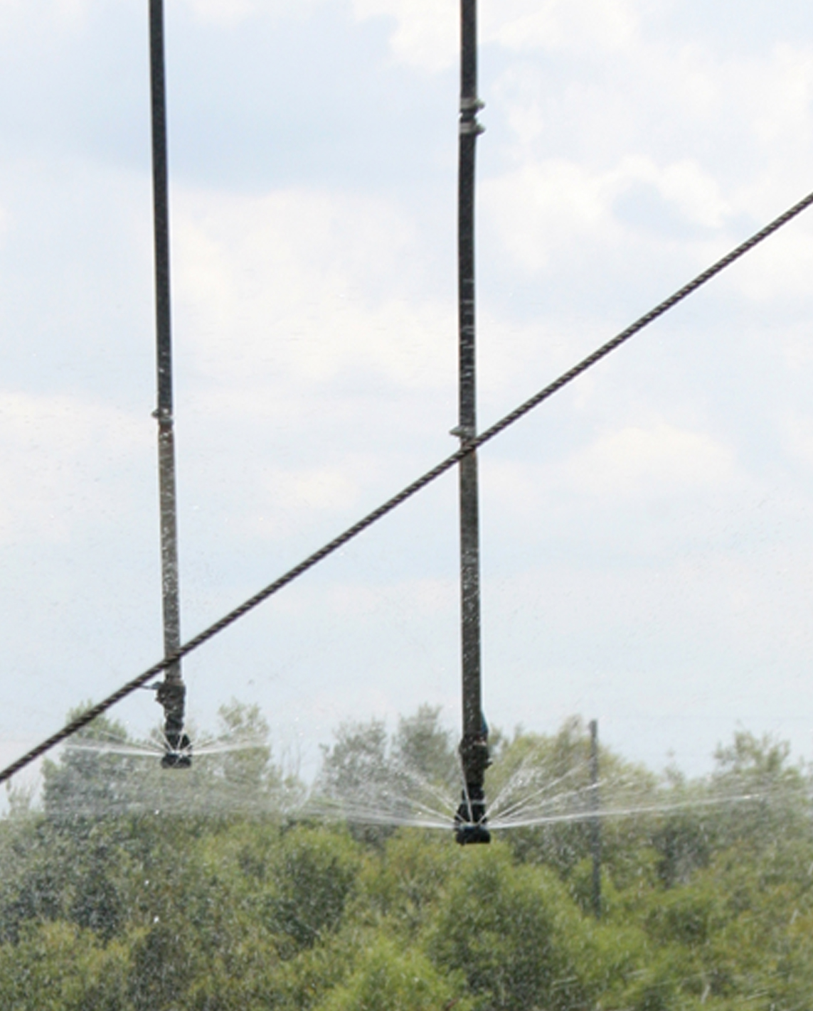 Cotton gets irrigated at UGA's Lang-Rigdon Farm in Tifton, Georgia on July 10, 2014.