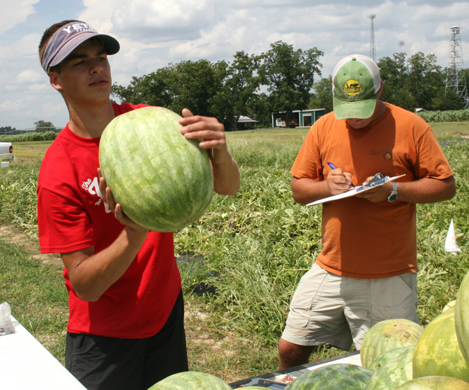 Beau Lamb tosses a watermelon into a truck, as Robert Ames writes down its weight while working at the UGA Tifton Campus. The two student workers work for vegetable horticulturist Tim Coolong.
