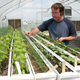 A student checks on herb plantings in the organic greenhouse at the University of Georgia Horticulture Farm.