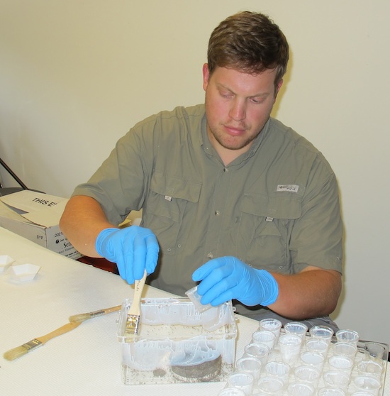 University of Georgia alumnus Jacob Holloway is shown preparing to test natural products as pest repellants in a laboratory on the campus in Griffin. He tested a few natural remedies as part of his Master's thesis for the College of Agricultural and Environmental Sciences.