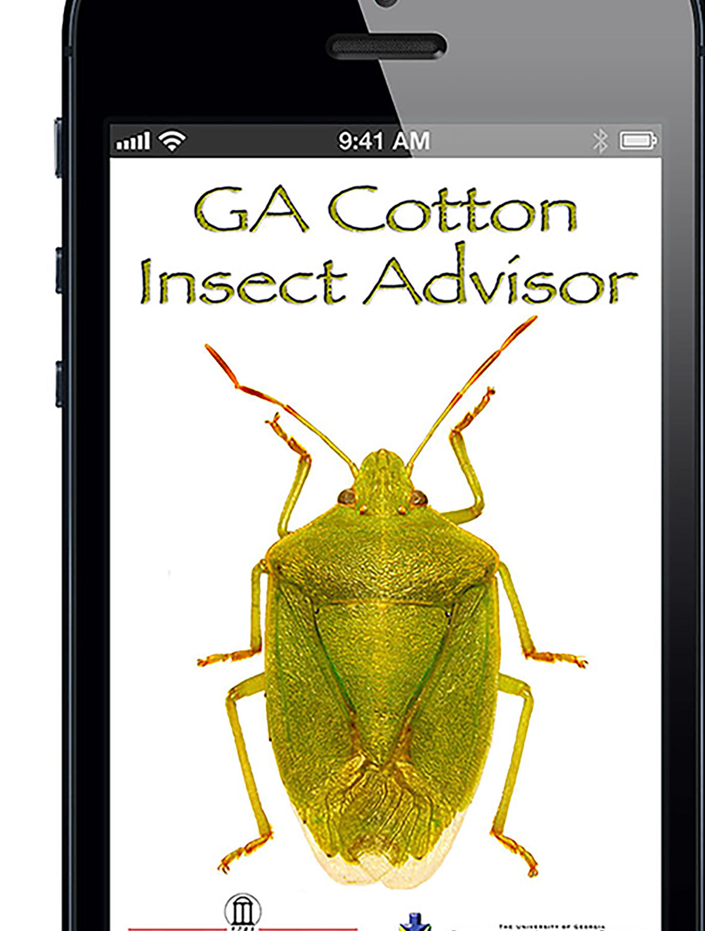 A new app has been developed to better treat and manage stink bugs in cotton.