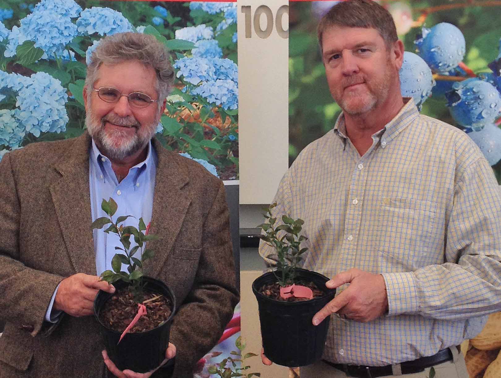 Retired UGA blueberry and small fruit horticulturist Gerard Krewer, left, holds a container of a new blueberry variety named in his honor. UGA blueberry breeder Scott NeSmith (right) named the new cultivar in honor of Krewer in recognition of his 20 years of service to Georgia's blueberry industry.