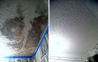 As a result of a roof leak, mold grows on the ceiling of a home.