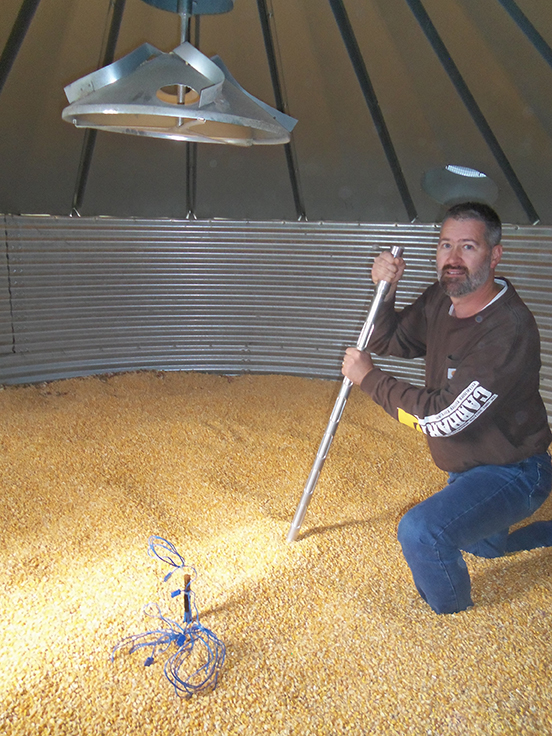 Mike Toews, entomologist on the UGA Tifton Campus, works in corn in a storage bin on campus.