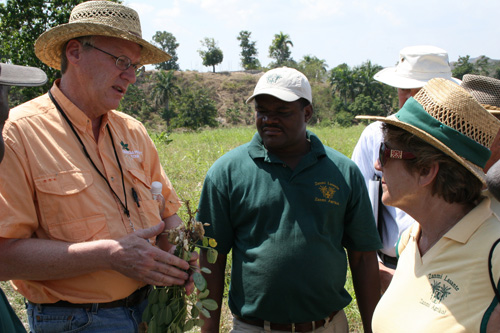 UGA Cooperative Extension assistant dean Steve Brown (left) explains peanut diseases to Zanmi Agrikol agronomist Fereste Sonnius (center) and director Gillaine Warne (right) at one of the organization's farms March 17, 2010.