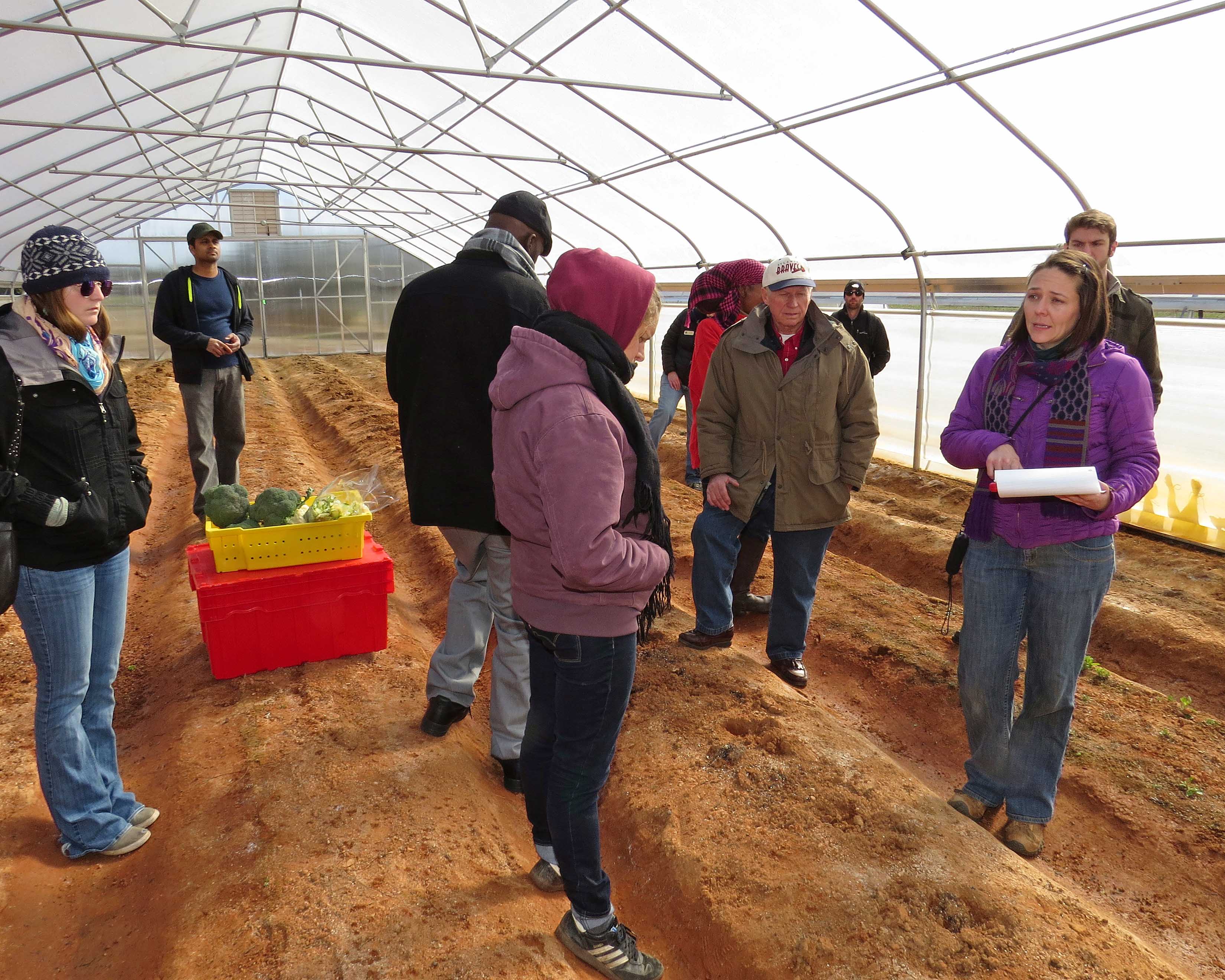 Assistant Professor of Horticulture Suzanne O'Connell leads a tour of her organic production high tunnels at the Durham Horticulture Farm as part of the 2015 Georgia Organics Conference, Feb. 20-21.