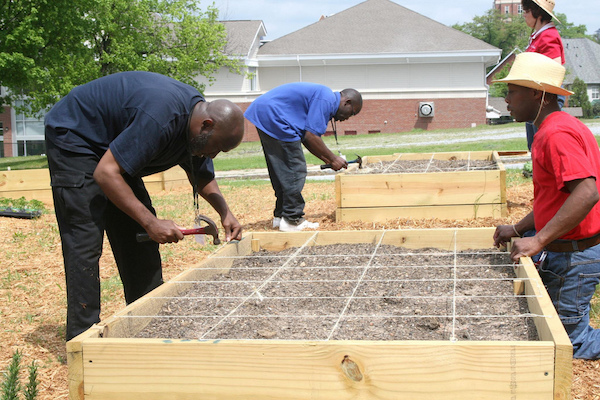 Building a raised bed garden can be the perfect way to have a garden in limited space where the soil conditions are poor. But there are drawbacks to raised bed gardens, like the soil dries out quickly.