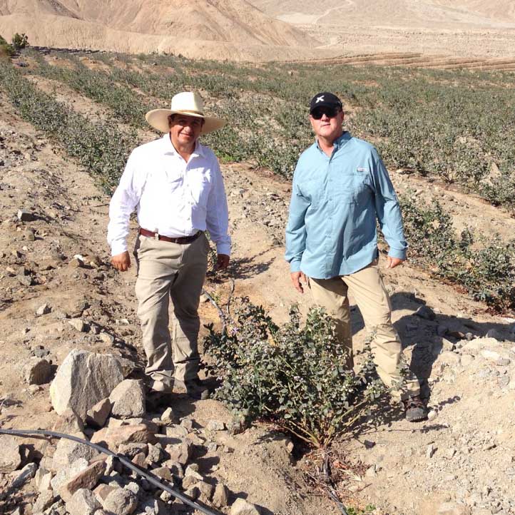 Scott NeSmith visits with growers in Peru to examine blueberry varieties currently being grown there and to establish test sites for UGA blueberry germplasm.