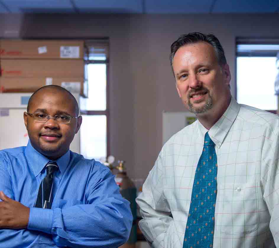 UGA researchers Franklin West and Steve Stice have developed pig induced pluripotent stem cell from pig skin cells. These cells can be used to replace damaged neural rosette cells.