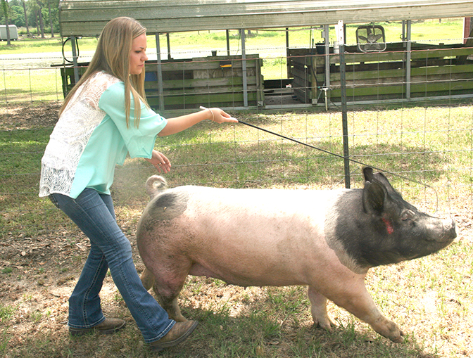 Courtney Conine walks her pig at her home in Camilla, Georgia.