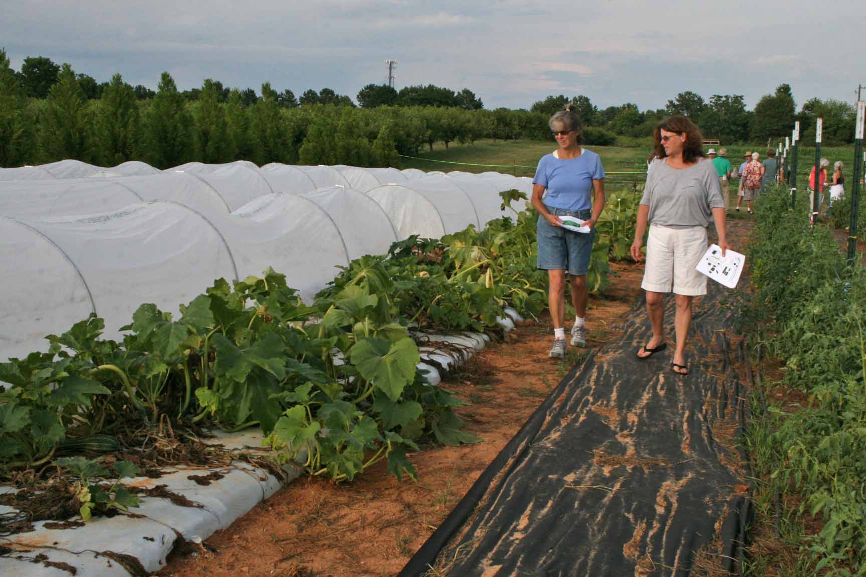 Two women tour the organic production plots at UGA's Durham Horticulture Farm during UGA's 2014 Organic Twilight Tour.
