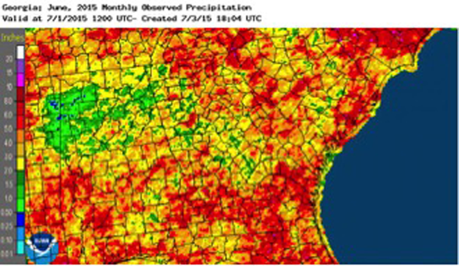 Some parts of Georgia received very little rain during June, which expanded drought conditions over parts of the state.