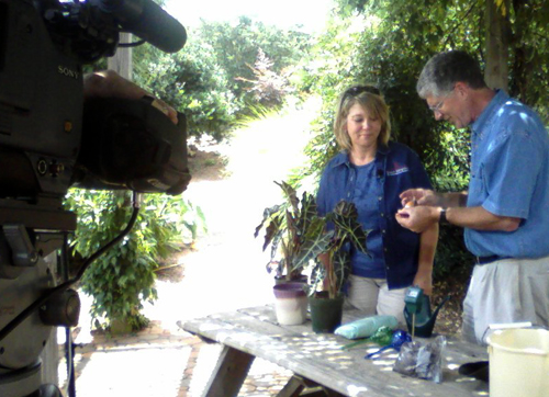 Krissy Slagle talks about houseplant care with "Your Southern Garden" host Walter Reeves.