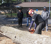 Chainsaw trainings are being held across Georgia.