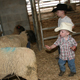Children play with the sheep during the petting zoo portion of the Great Southland Stampede Rodeo in 2008.