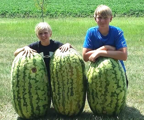 Dylan Gravitt (left) won first place with a 140-pound watermelon and his brother, Jacob Gravitt, won second place with his 136-pound watermelon. The brothers are residents of Turner County.