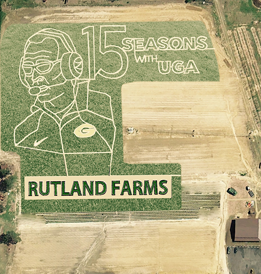 Georgia football coach Mark Richt is depicted in a corn maze at Rutland Farms in Tifton. George Vellidis' precision agriculture class on the UGA Tifton Campus helped develop the maze using GPS technology.