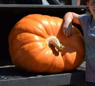 Savannah Crosby, of Lumpkin County, took home third place with her 147-pound gourd as part of Georgia 4-H's 2015 Pumpkin Contest.