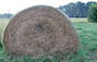 To determine the quality of hay, Georgia farmers trust forage tests from the University of Georgia Agricultural and Environmental Services Laboratories in Athens, Georgia. The lab provides an estimate of Relative Forage Quality (RFQ). This value is a single, easy-to-interpret number that improves a producer's understanding of forage quality and helps to establish a fair market value for the product.
