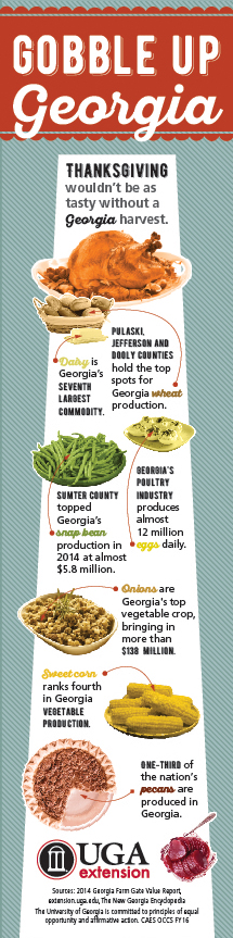 From green beans to turkey to pecan, Georgia farmers have you covered this Thanksgiving.