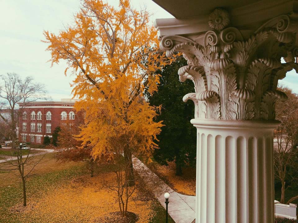 Katharine Rose Hall, a senior studying communication sciences and disorders in the UGA College of Education, juxtaposed the crown of a North Campus Ginkgo tree with one of the UGA Holmes-Hunter Academic Building's Corinthian columns in her first place photo.