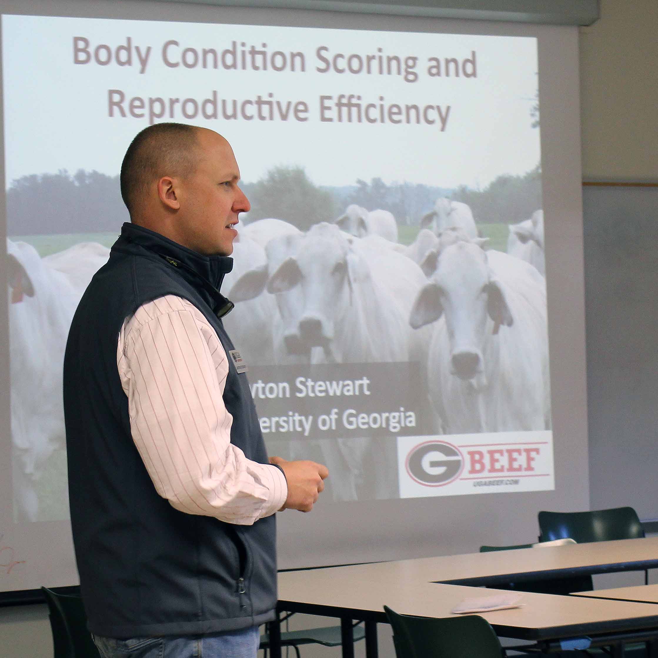 UGA Cooperative Extension beef cattle specialist Lawton Stewart teaches participants about beef body condition scoring at the Northeast Georgia Beef Cattle Short Course.