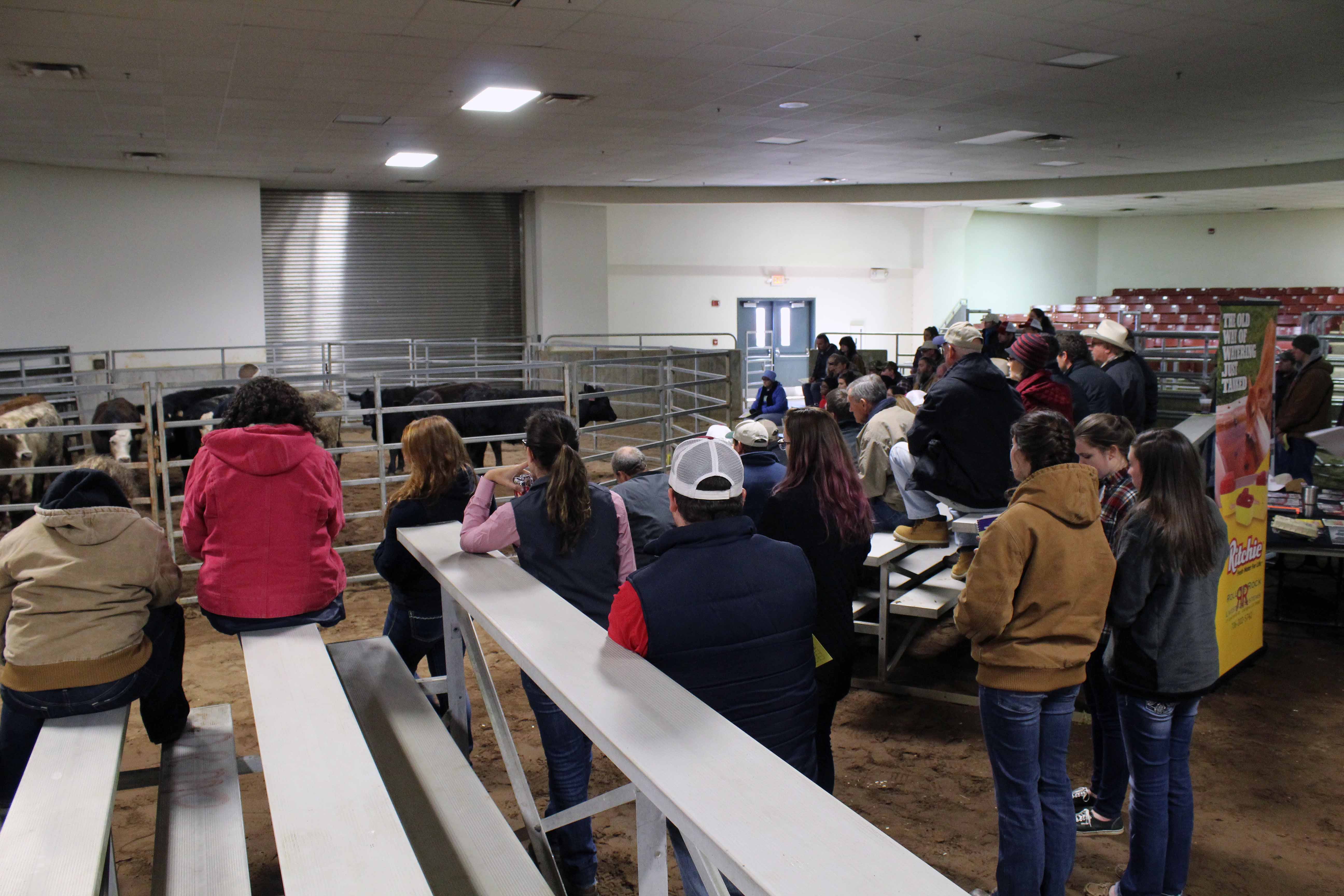 A group of UGA students and farmers at the Northeast Georgia Beef Cattle Short Course on Feb. 10, 2016.