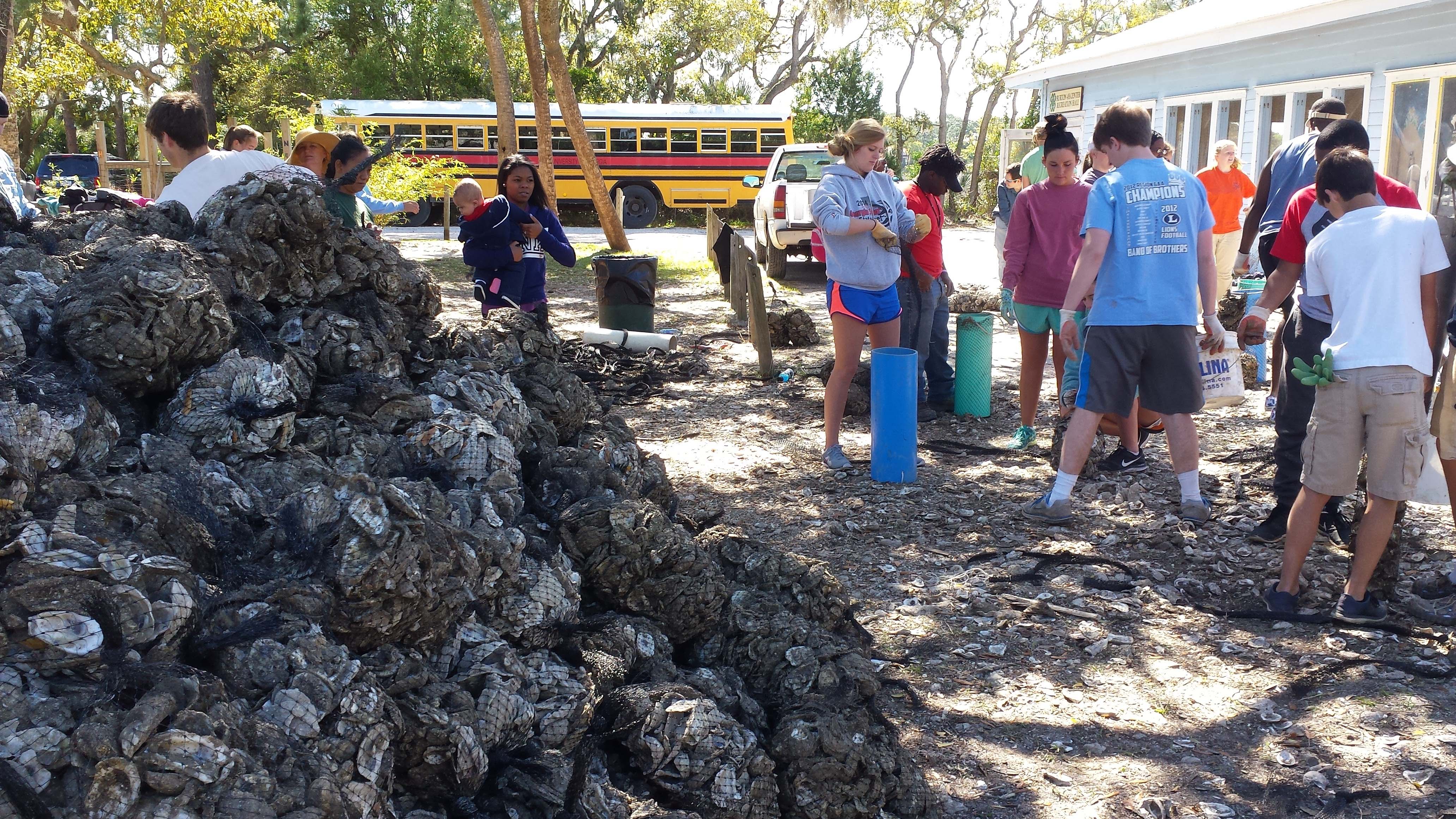 Volunteers fill Naltex bags with oyster shells at Burton 4-H Center on Tybee Island on April 9 to help build a living shoreline to prevent erosion at the environmental education center.