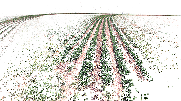 This is a partially reconstructed point-cloud of a peanut field. When completed, UGA scientists will be able to tell the height, width, leaf cover, growth and disease anomolies for individual plants and track it through the season. Currently the research project is working to make the 3-d reconstruction accurate to within 1 mm.