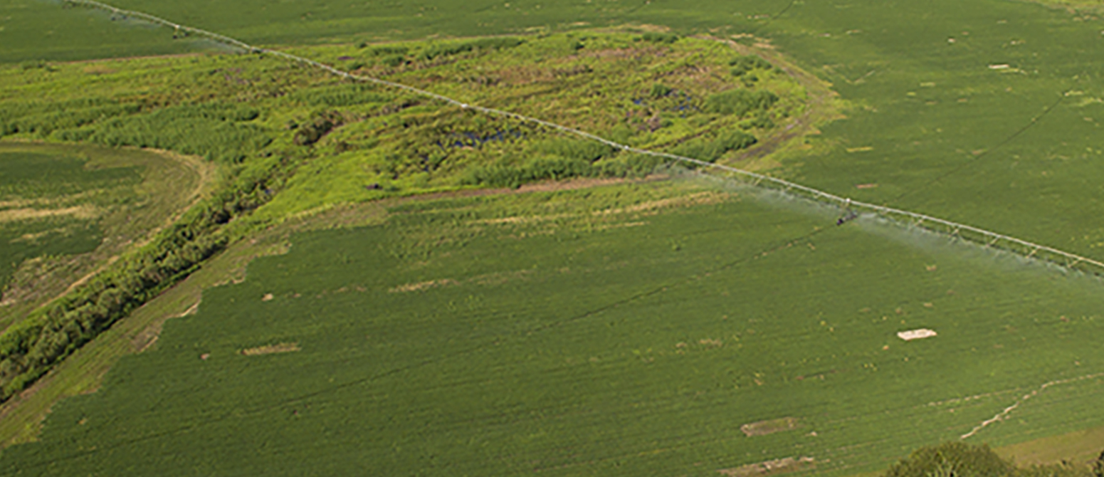 An overhead view of variable rate irrigation and soil moisture sensor research at Adam McLendon's farm.